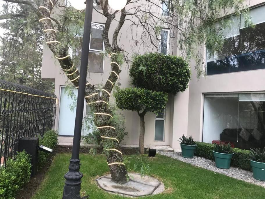 Hermoso Departamento en Bosques de las Lomas Dos Habitaciones México DF Exterior foto